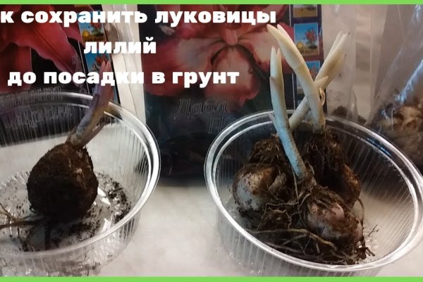 Кракен 17 рабочая ссылка