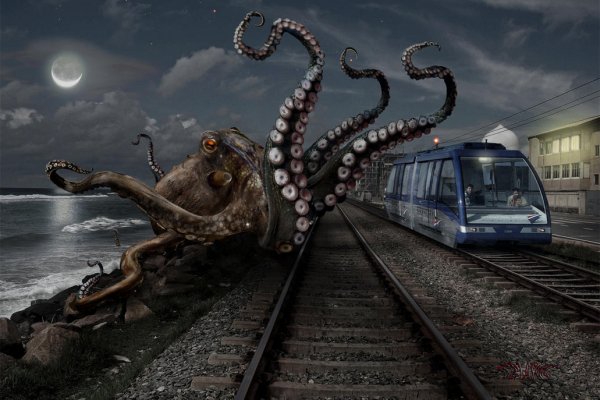 Kraken вход