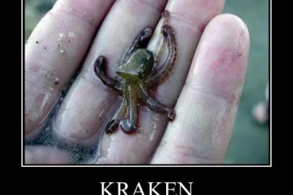 Найдется все kraken 2krn cc